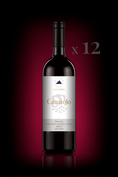 IGT Toscana Rosso "Canaiolo" - Organic - 12 Bott. 0,75 Lt IGT Toscana Rosso "Canaiolo" - Organic - 12 Bott. 0,75 Lt