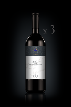 IGT Toscana Rosso "Merlot" - Organic - Personal Edition - n°3 Bott. 0,75 Lt IGT Toscana Rosso "Merlot" - Organic - Personal Edition - n°3 Bott. 0,75 Lt