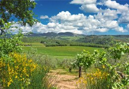 Lo spettacolo della natura