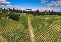 The importance of the hilly territory