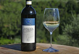 A Study on Aromagramme of Vernaccia di San Gimignano wine - La Lastra