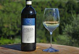 Studio sull’Aromagramma del vino Vernaccia di San Gimignano - La Lastra