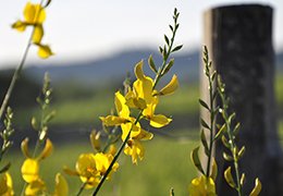 Entropia dell’agroecosistema